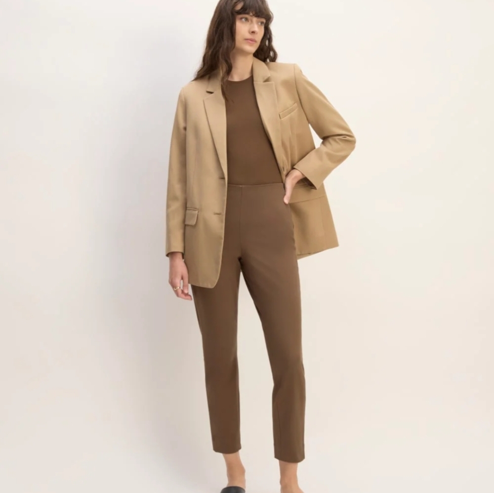 Everlane Women's Bi stretch Work Pants, Coaco Color